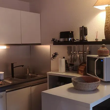 Foux D'allos, De 27m2 En Centre-ville, Plein Sud Avec Balcon Equipe