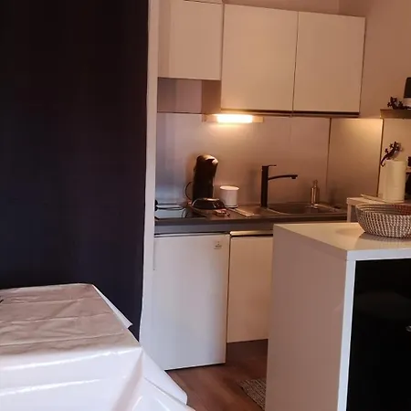 Foux D'allos, De 27m2 En Centre-ville, Plein Sud Avec Terrasse Apartament